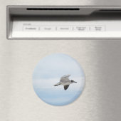 Aimant Mouette volante (In Situ (Lave-vaisselle))