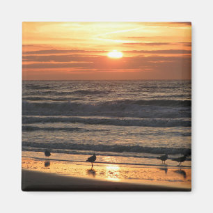 Aimant Mouettes au bord de la mer au coucher du soleil