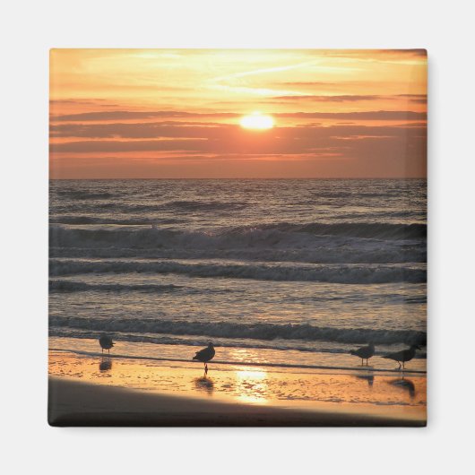 Aimant Mouettes au bord de la mer au coucher du soleil (Devant)