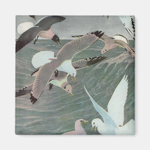 Aimant Mouettes sur les vagues de l'océan par Louis Agass