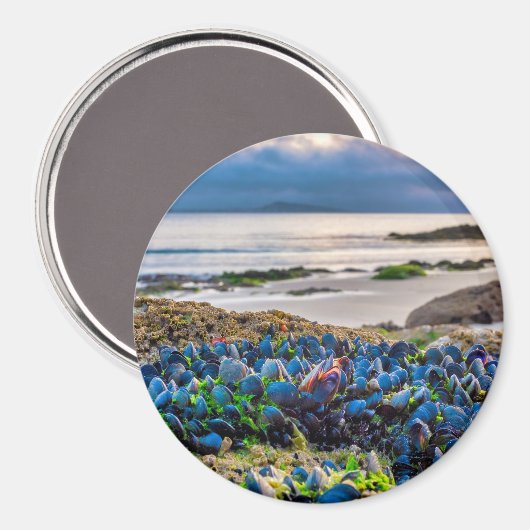 Aimant Moules (Recto/Verso)