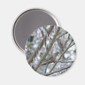 Aimant Mourning Dove (Recto/Verso)