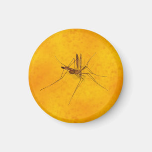 Aimant Moustique dans Amber Sap Fossile Réplique Préhisto