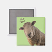 Aimant Mouton (Recto/Verso)