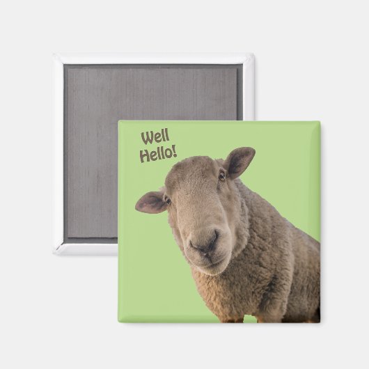 Aimant Mouton (Recto/Verso)