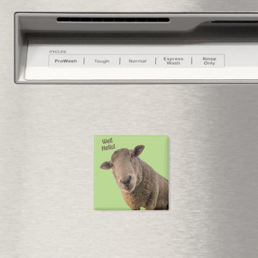 Aimant Mouton (In Situ (Lave-vaisselle))