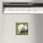 Aimant Mouton avec agneau (In Situ (Lave-vaisselle))