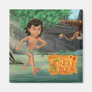 Aimant Mowgli 3