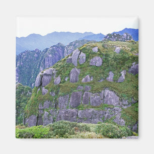 Aimant Mt. Nagata, Yakushima, Kagoshima, Japon