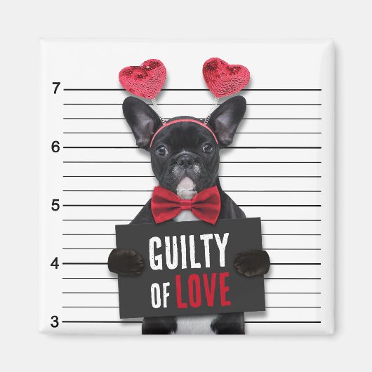 Aimant Mugshot Culpabilité amour chien drôle Saint Valent (Devant)