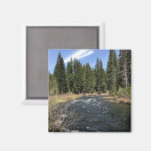 Aimant Muir Creek, Oregon (Recto/Verso)