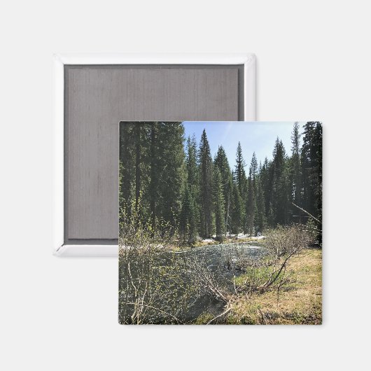 Aimant Muir Creek, Oregon (Recto/Verso)