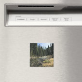 Aimant Muir Creek, Oregon (In Situ (Lave-vaisselle))