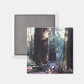 Aimant Muir Woods (Recto/Verso)