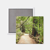 Aimant Muir Woods Path II Nature Photography (Recto/Verso)