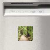 Aimant Muir Woods Path II Nature Photography (In Situ (Lave-vaisselle))