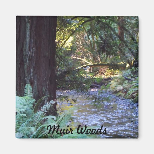 Aimant Muir Woods Stream (Devant)