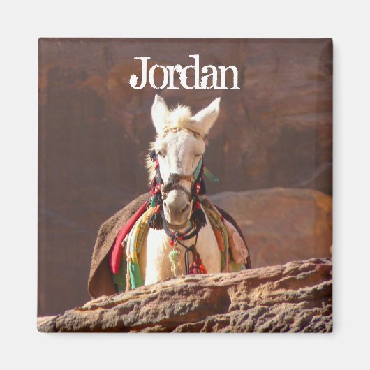 Aimant Mule blanche, Petra Jordan (Devant)