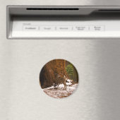 Aimant Mule Deer (In Situ (Lave-vaisselle))