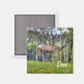 Aimant Mule Deer & Field Wildlife Animal Design (Recto/Verso)