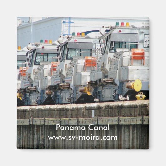 Aimant "mules" électriques, Pedro Miguel Locks, Canal de  (Devant)