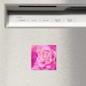 Aimant multifonction (In Situ (Lave-vaisselle))