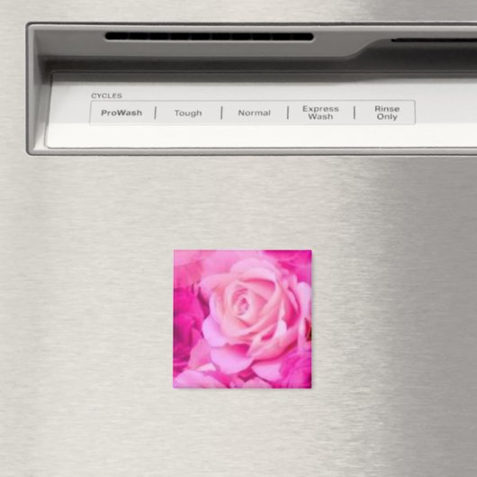 Aimant multifonction (In Situ (Lave-vaisselle))