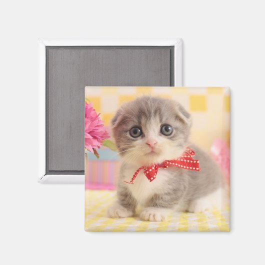 Aimant Munchkin Kitten (Recto/Verso)