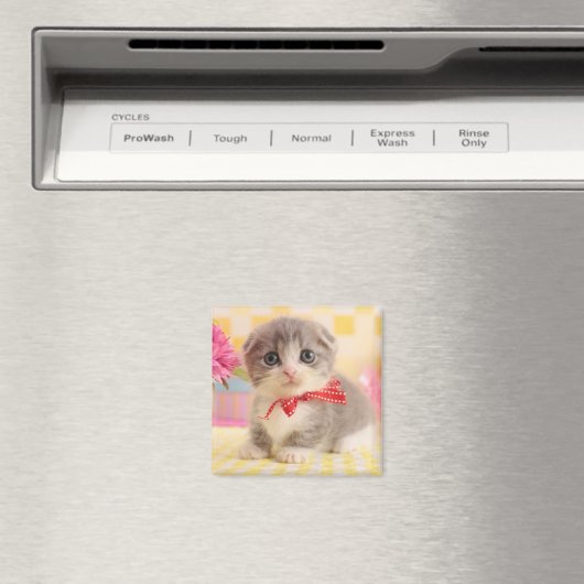 Aimant Munchkin Kitten (In Situ (Lave-vaisselle))