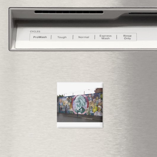 AIMANT MUR DE PAIX DU BELFAST (In Situ (Lave-vaisselle))