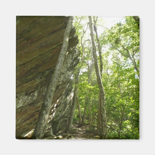 Aimant Mur de roche de Frazier dans le parc national de S (Devant)
