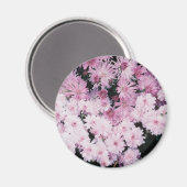 Aimant mûres pourpres (Recto/Verso)