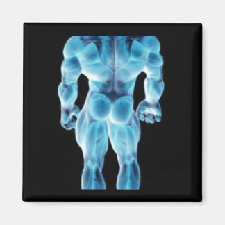 Aimant Musclar Skeletal