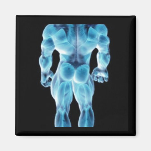 Aimant Musclar Skeletal (Devant)