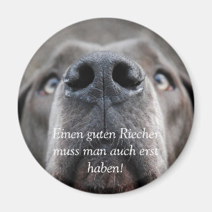 Aimant Museau de chien, il faut aussi avoir un bon renifl