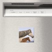 Aimant Mustangs espagnols (In Situ (Lave-vaisselle))