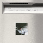 Aimant Mute Swan (In Situ (Lave-vaisselle))