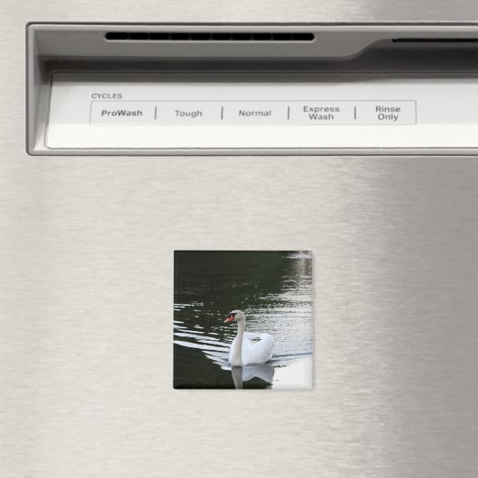 Aimant Mute Swan (In Situ (Lave-vaisselle))