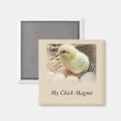 Aimant "My Chick Magnet" avec du poulet pour bébés (Recto/Verso)
