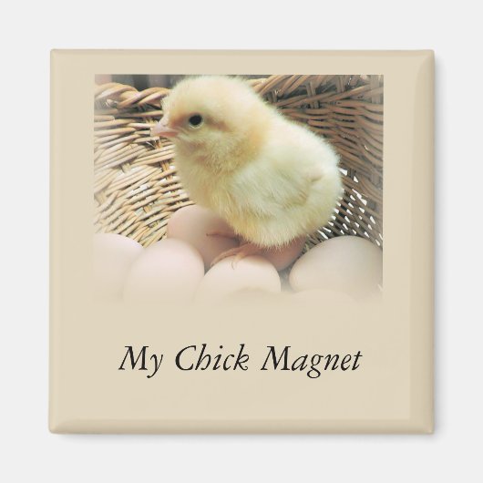 Aimant "My Chick Magnet" avec du poulet pour bébés (Devant)