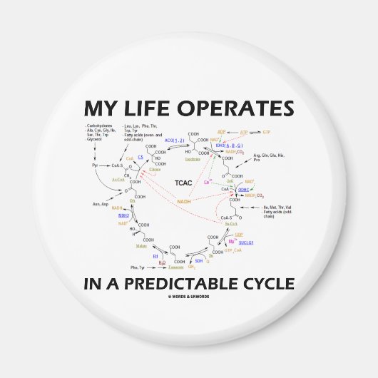 Aimant My Life Operates In A Predictable Cycle (cancer) (Devant)