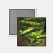 Aimant Mycobacterium Tuberculose (Recto/Verso)