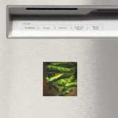 Aimant Mycobacterium Tuberculose (In Situ (Lave-vaisselle))