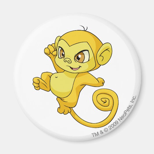 Aimant Mynci jaune (Devant)