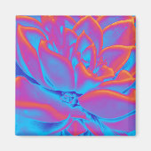 Aimant Mystère succulent (Devant)