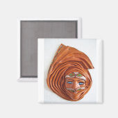 Aimant Mystérieux. (Recto/Verso)