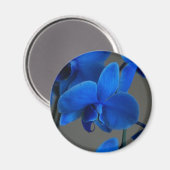 Aimant Mystique bleue (Recto/Verso)