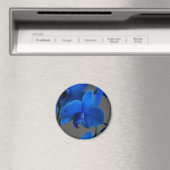 Aimant Mystique bleue (In Situ (Lave-vaisselle))