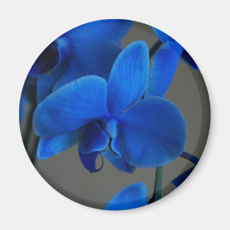 Aimant Mystique bleue
