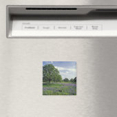 Aimant N.A., USA, Texas, Lac Buchanan, Chênes et Bleus (In Situ (Lave-vaisselle))